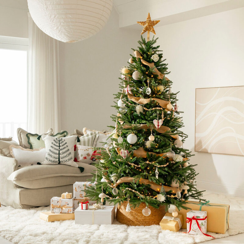 MUSLNOELC20_01__64881